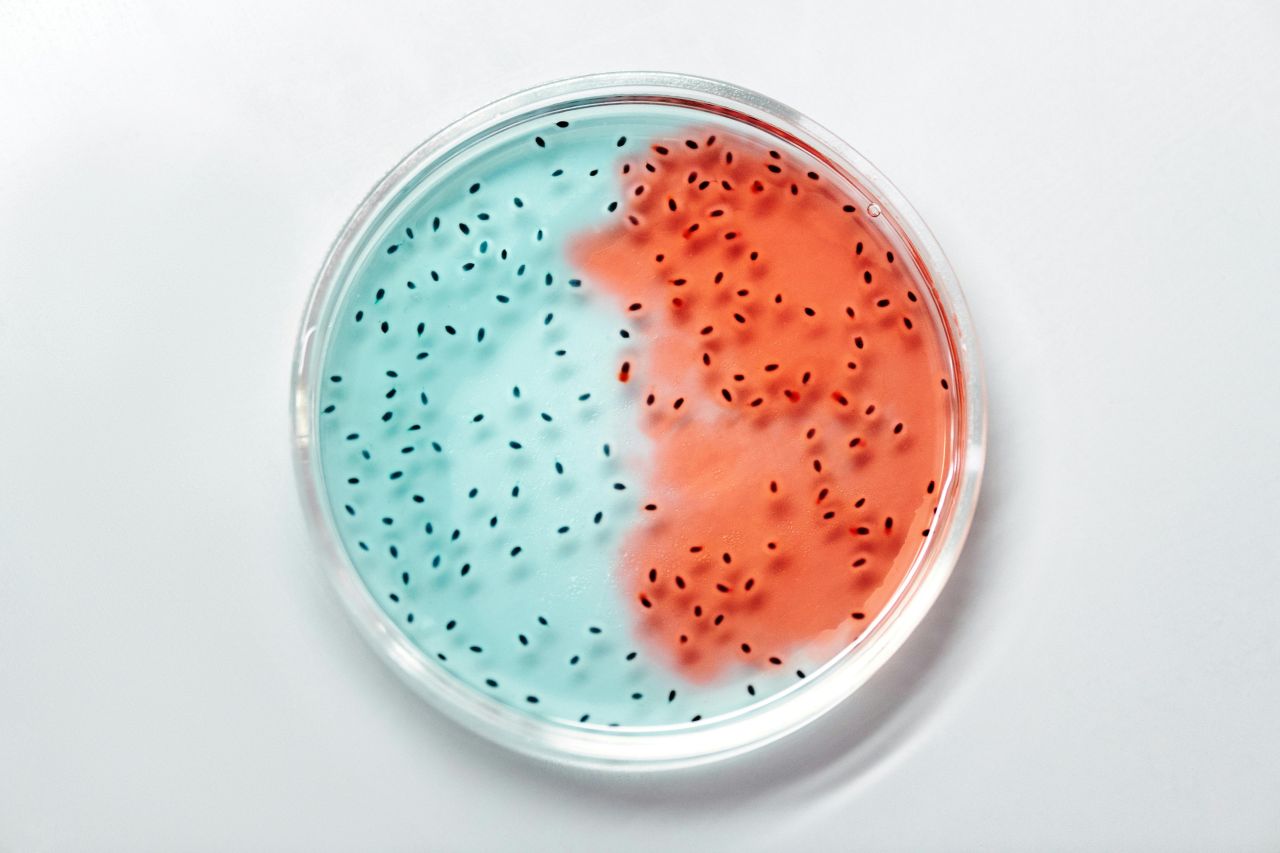 estudio-partes-bacterias