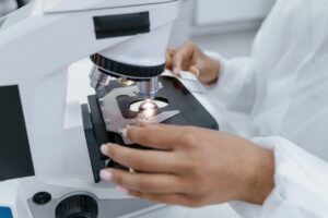 partes-bacterias