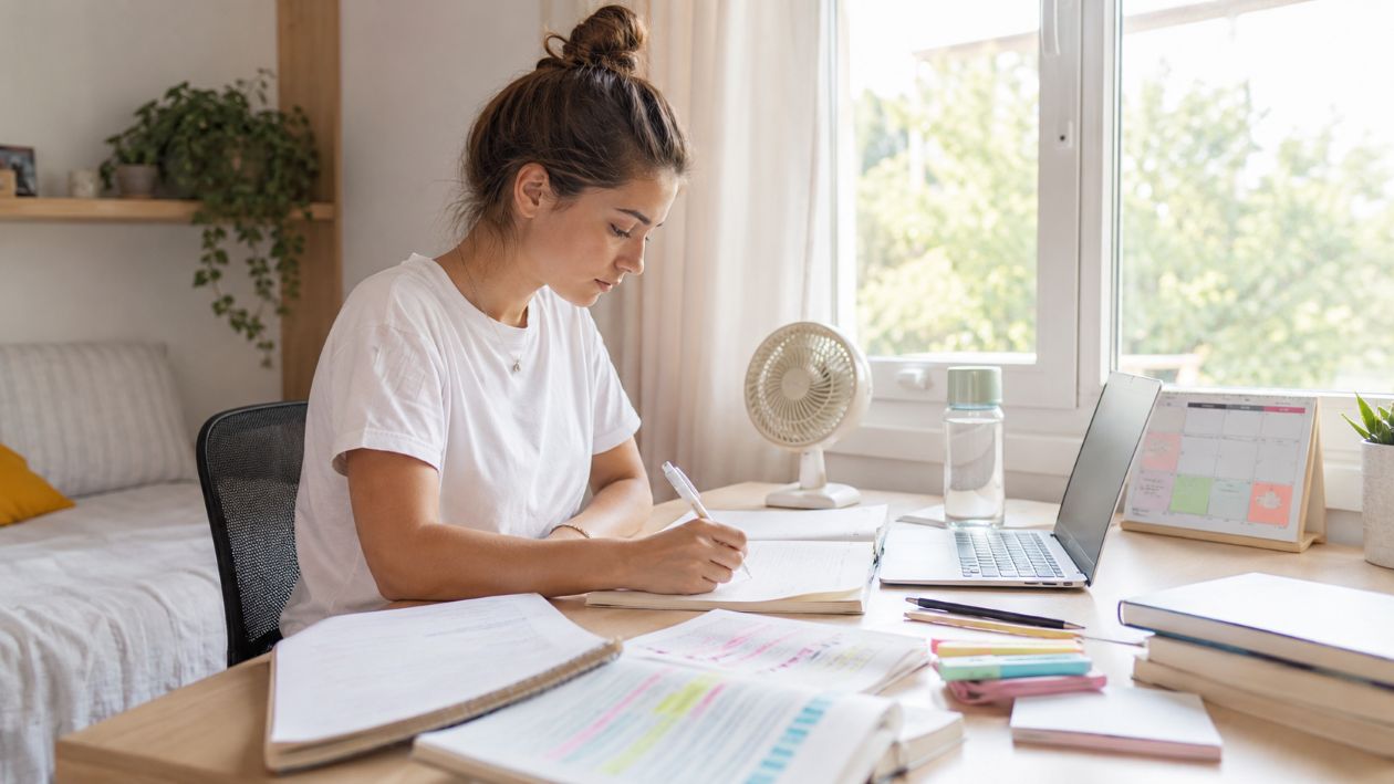 Persona joven estudiando en verano
