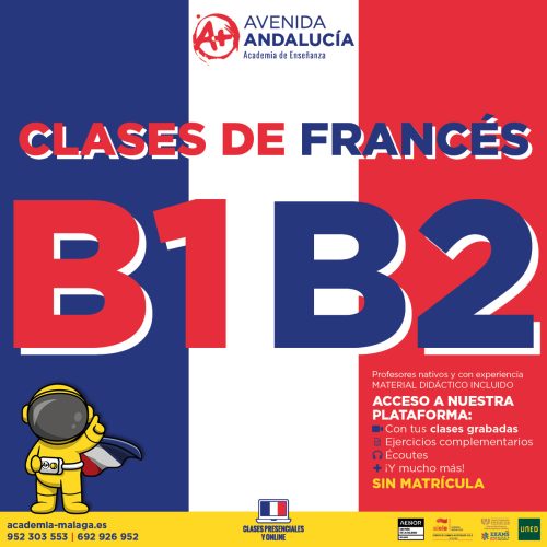 clases de francés b1 b2 academia clases online2